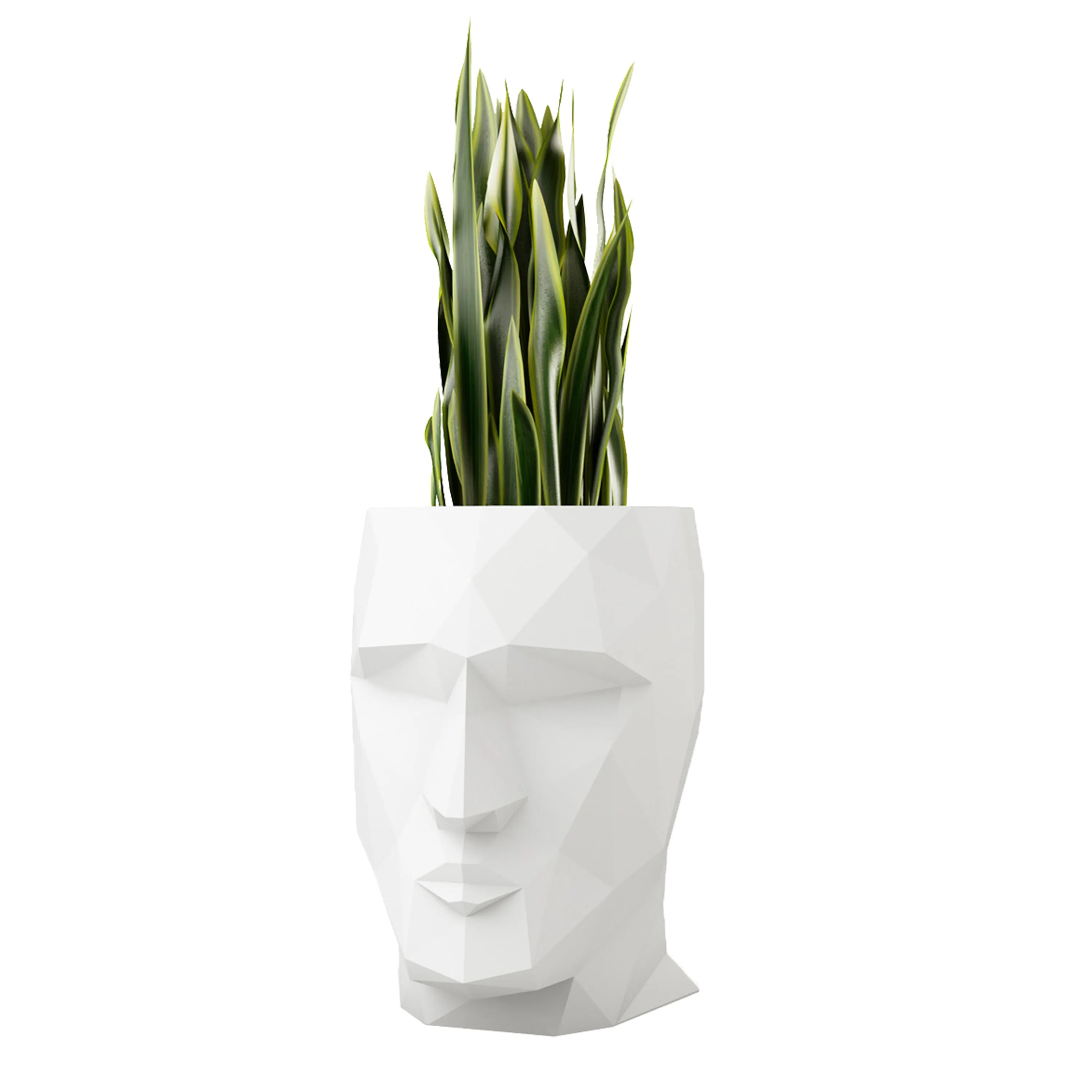 Adan Planter