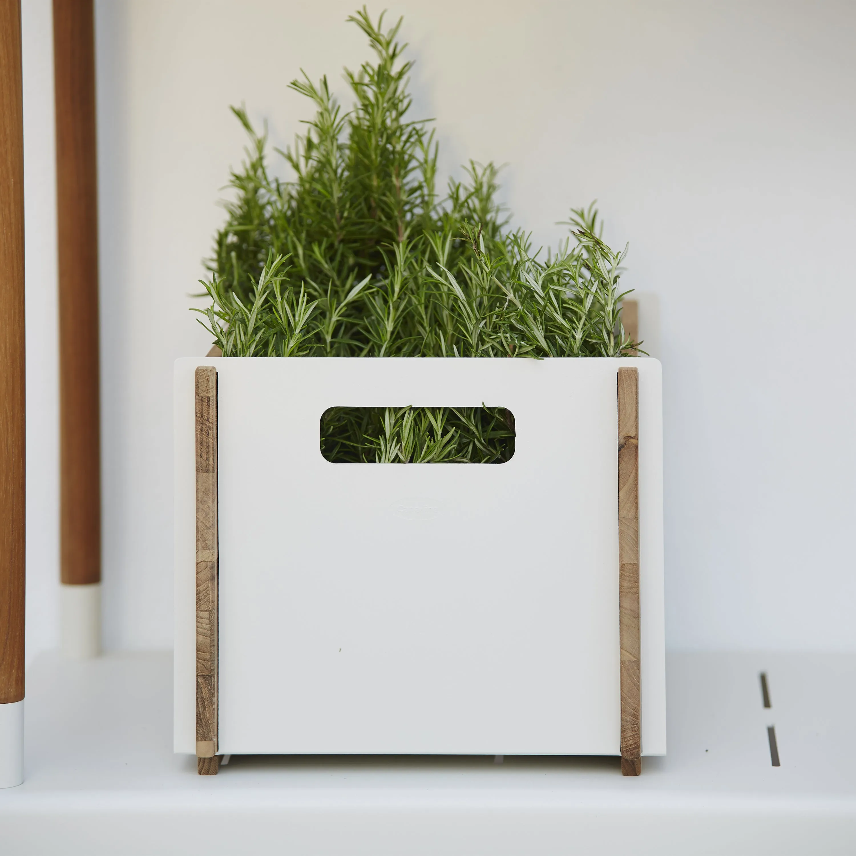 Box Storage Box