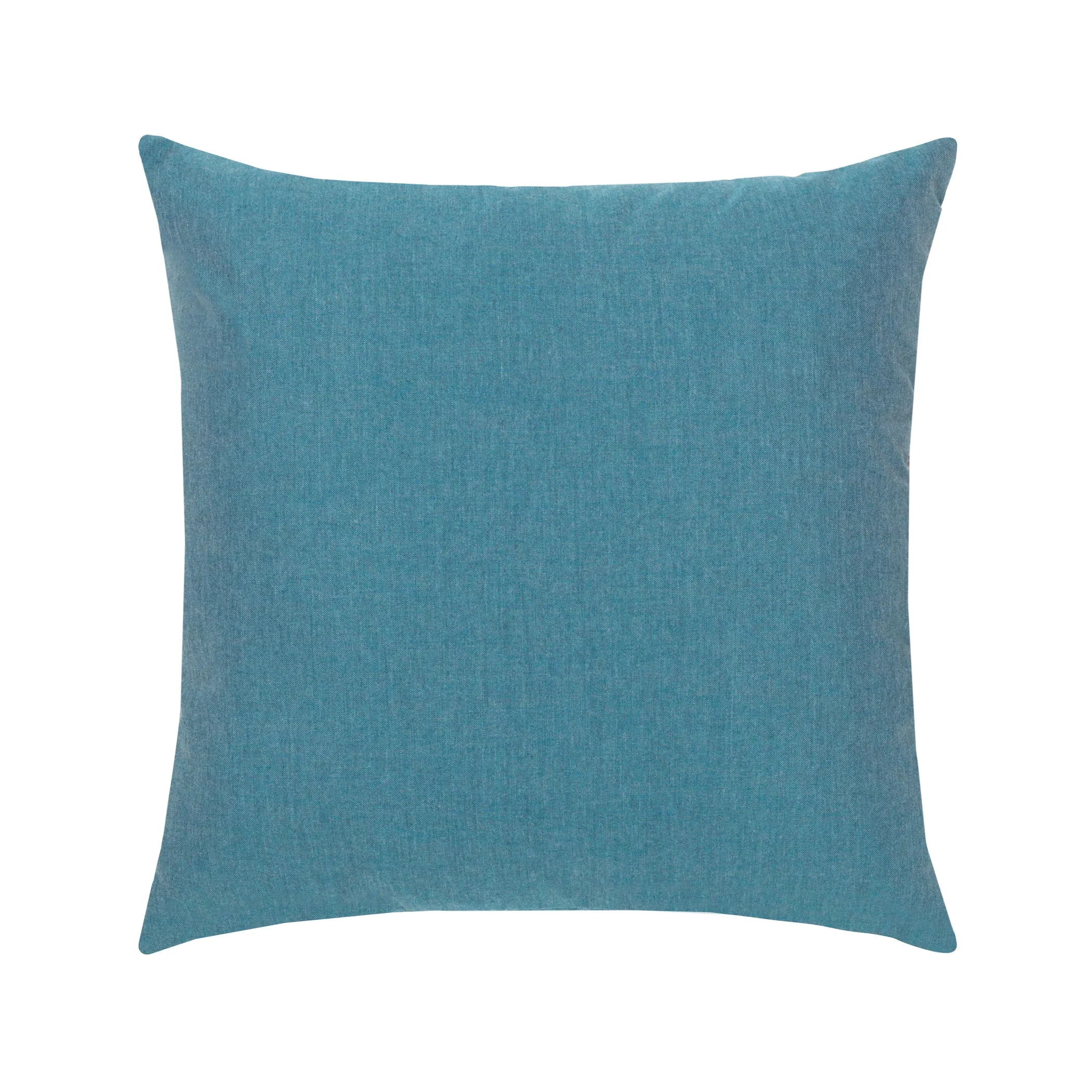 Chameleon Outdoor Pillow