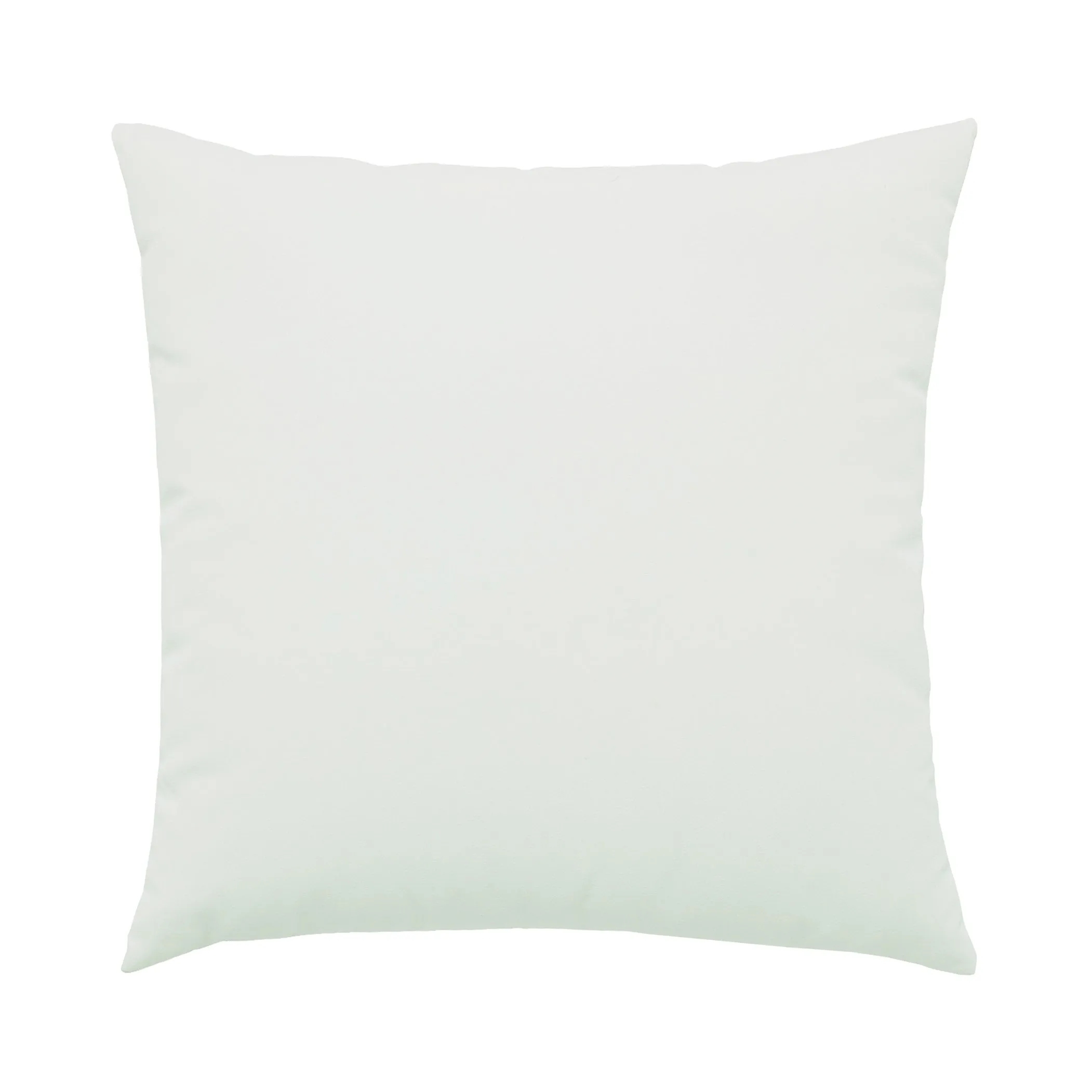 Chameleon Outdoor Pillow