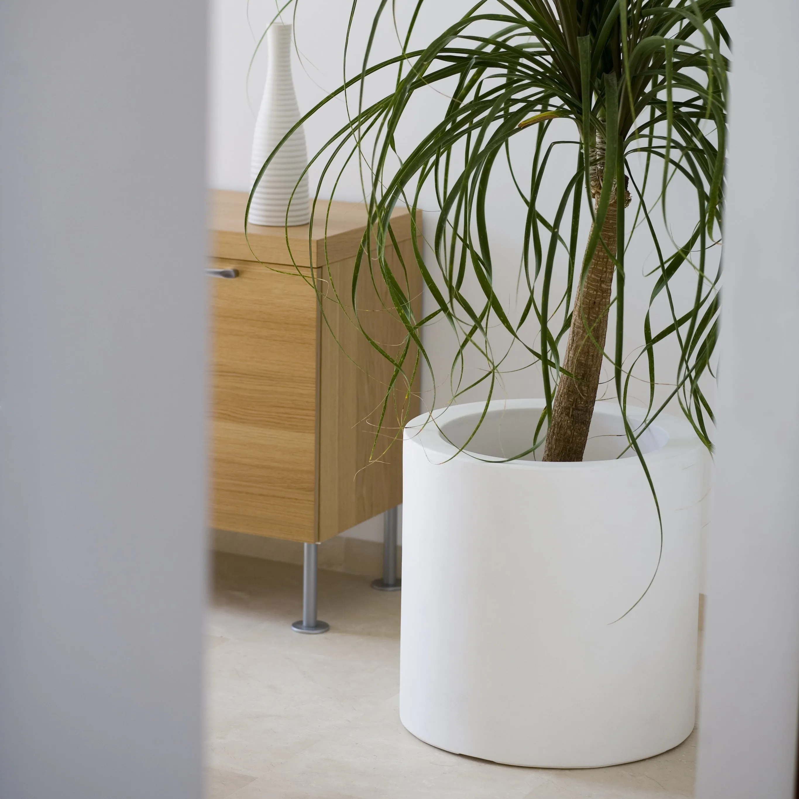 Cilindro Planter with Self-Watering System