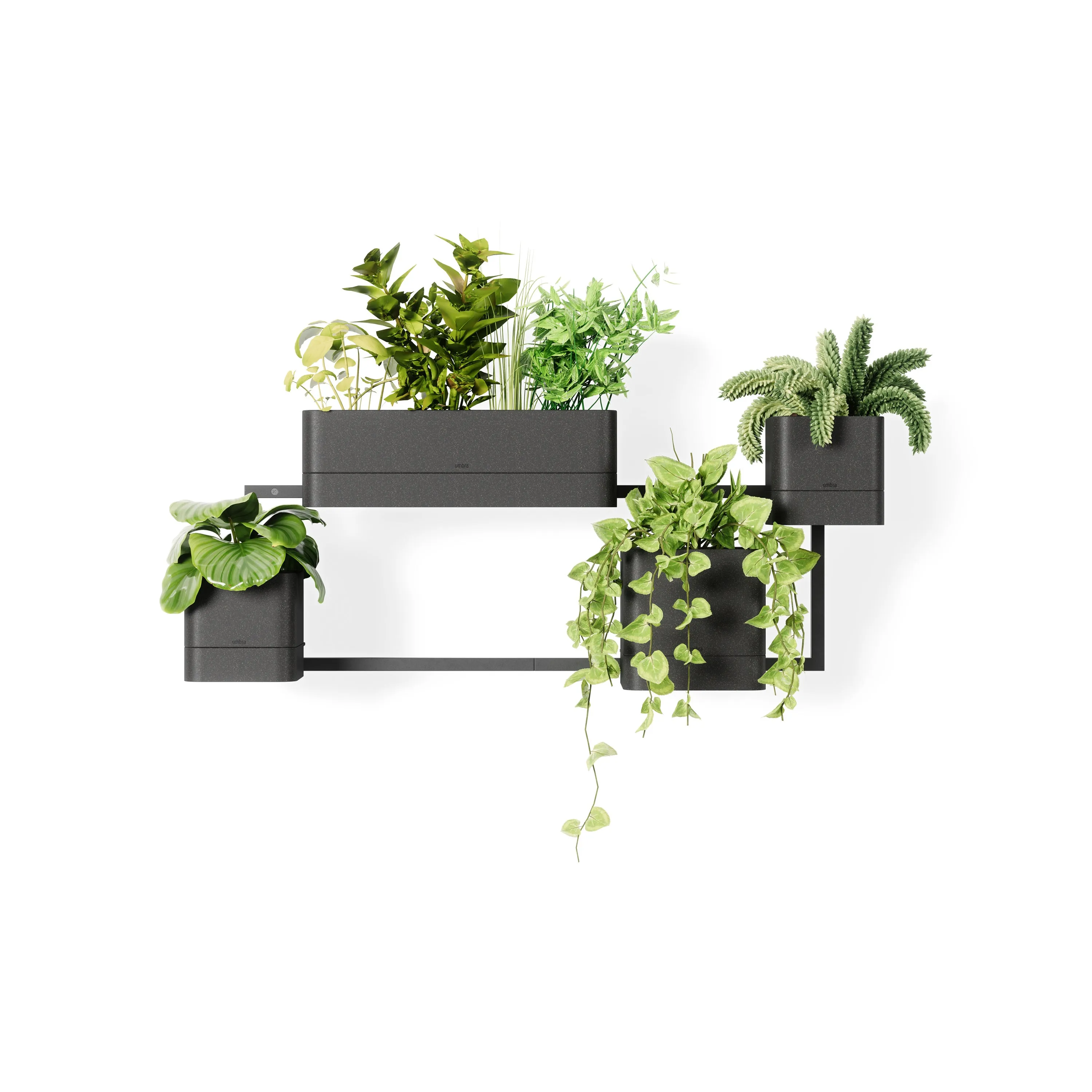 Cubiko Wall Planter