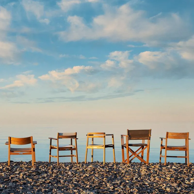 Djur Dining Armchair with Sling