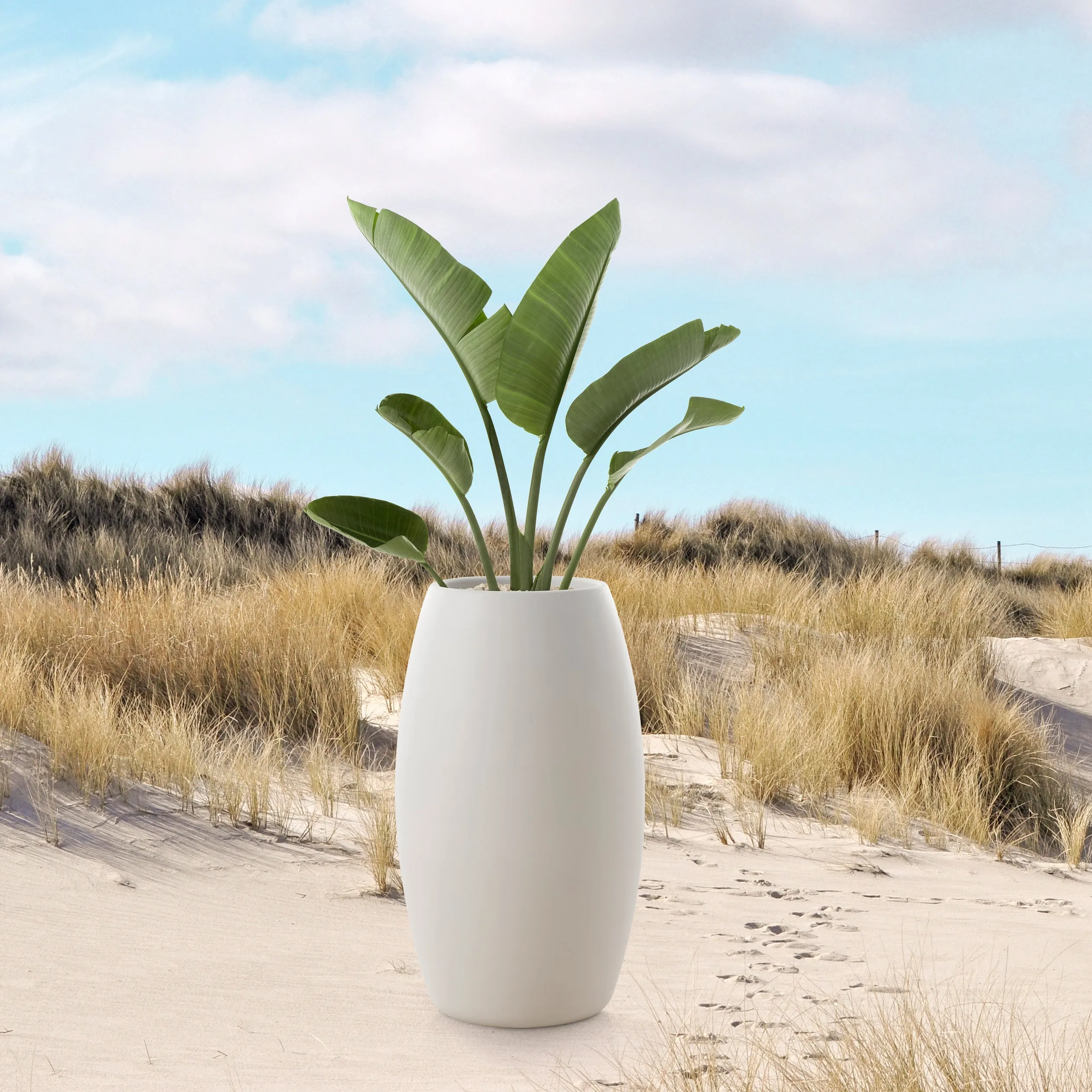 Gobi Planter 2