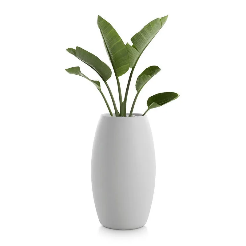 Gobi Planter 2