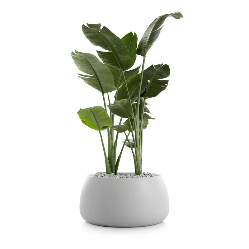 Gobi Planter 3