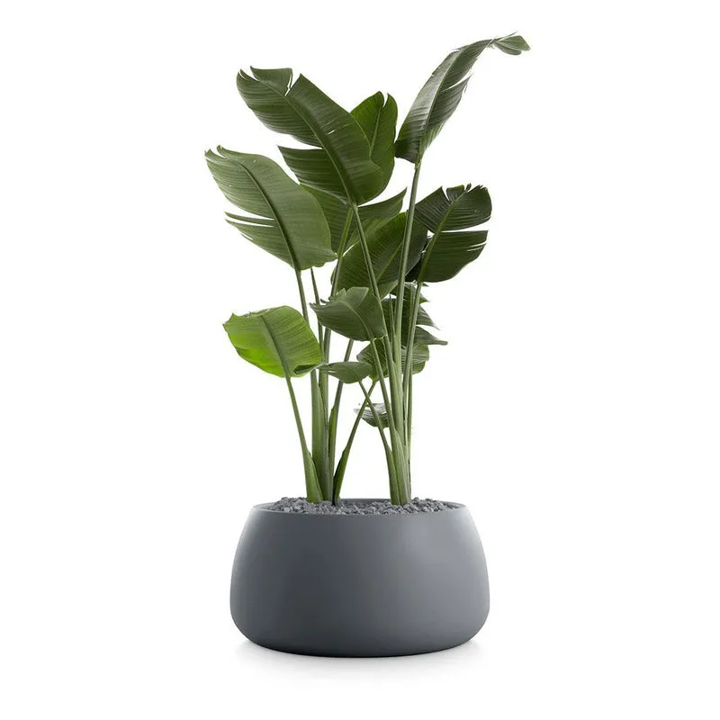 Gobi Planter 3