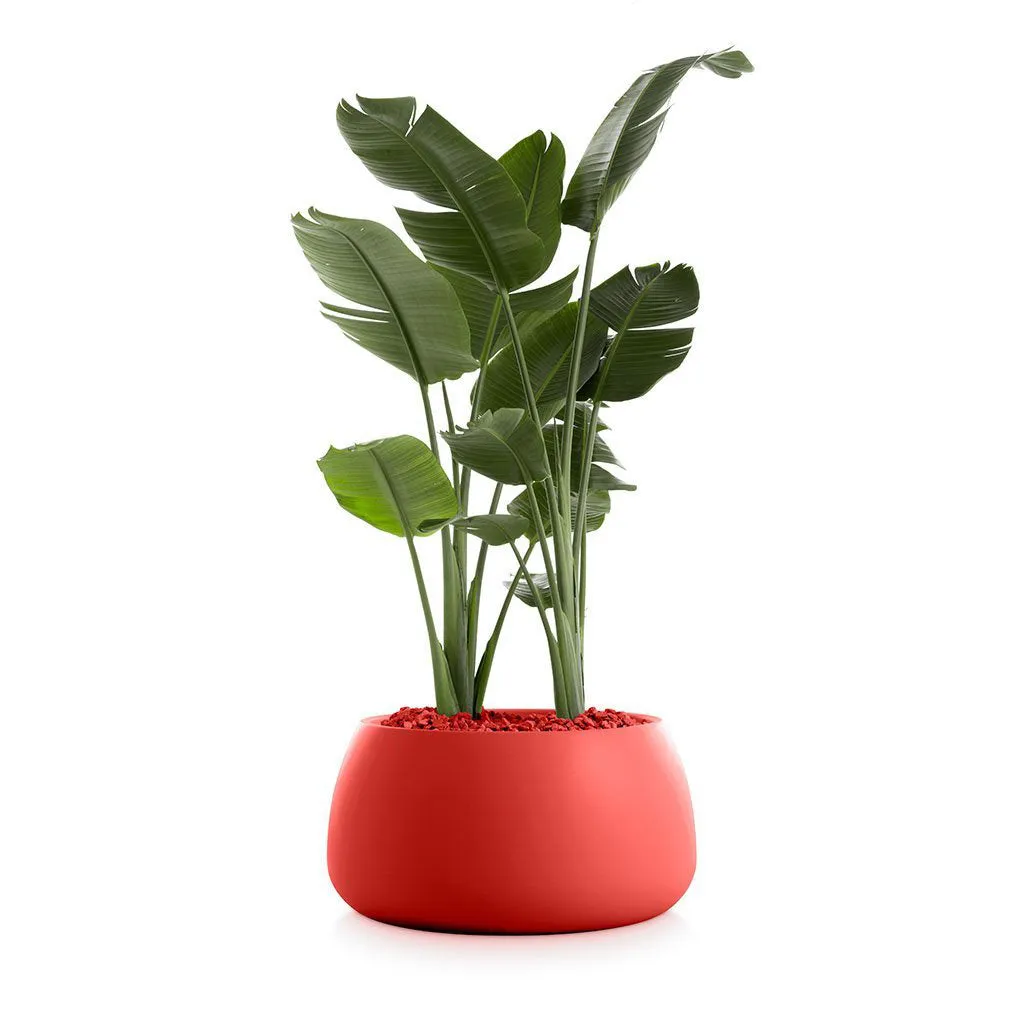Gobi Planter 3