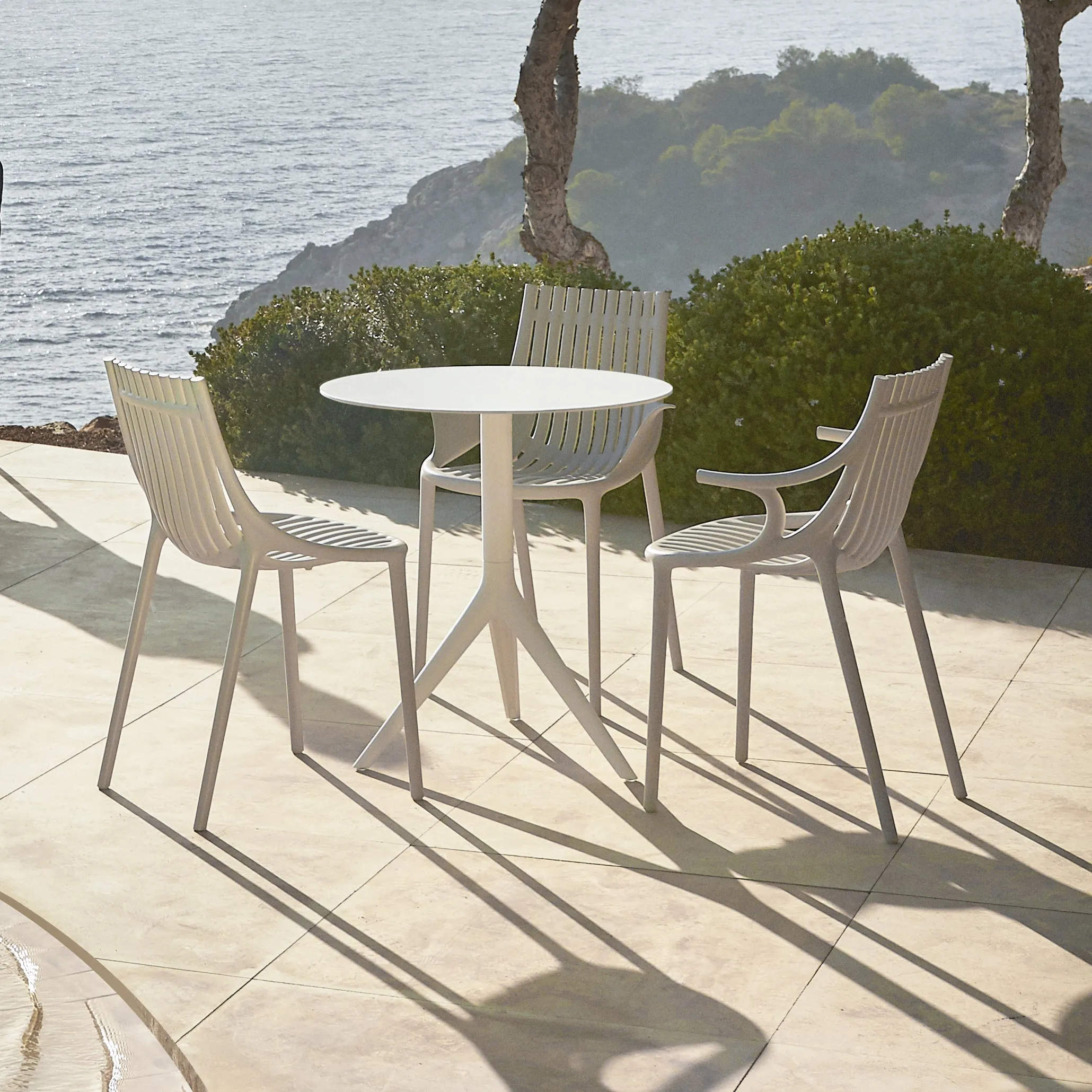 Ibiza Chair with Fin Arms (Set of 4)
