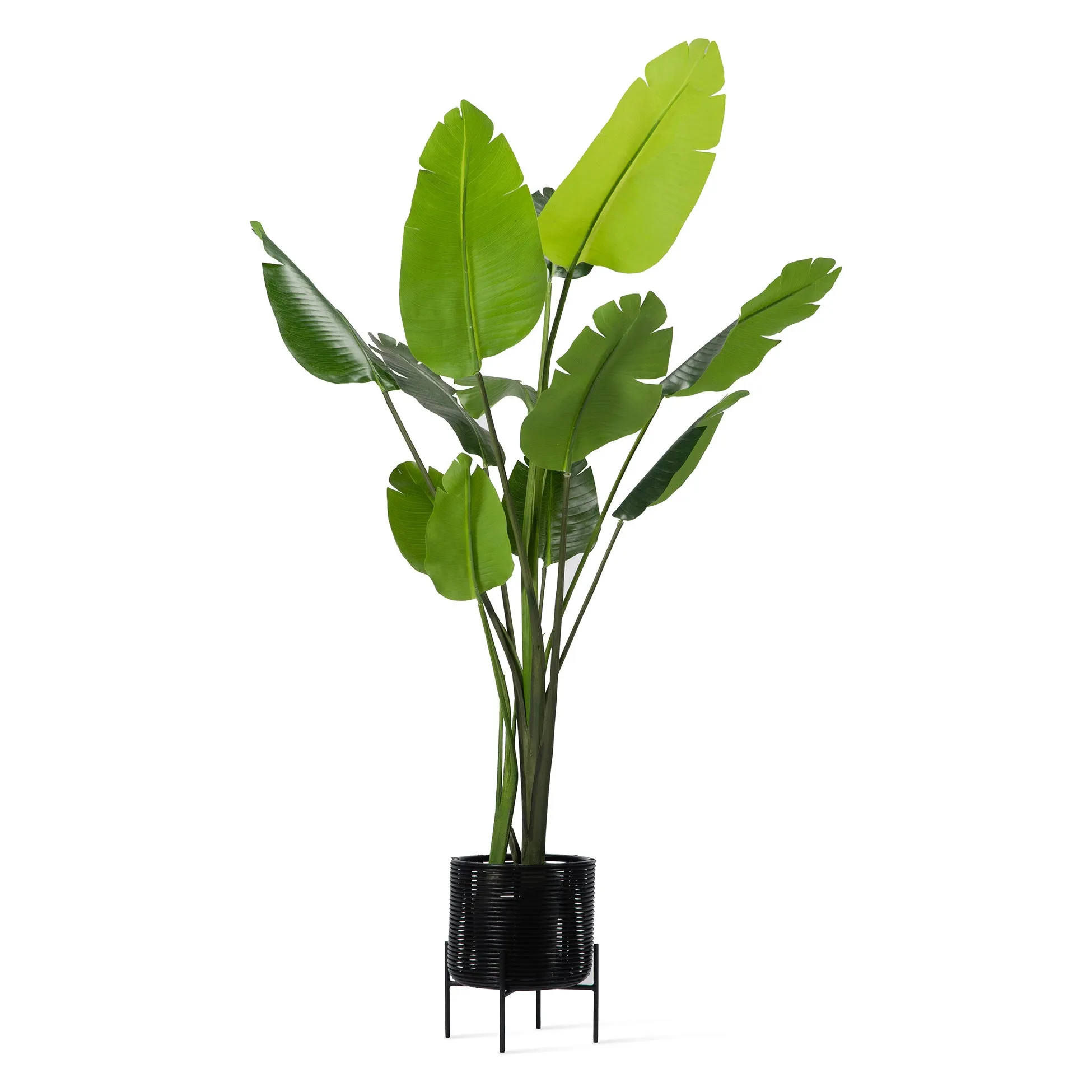 Ivo Outdoor Plant Stand