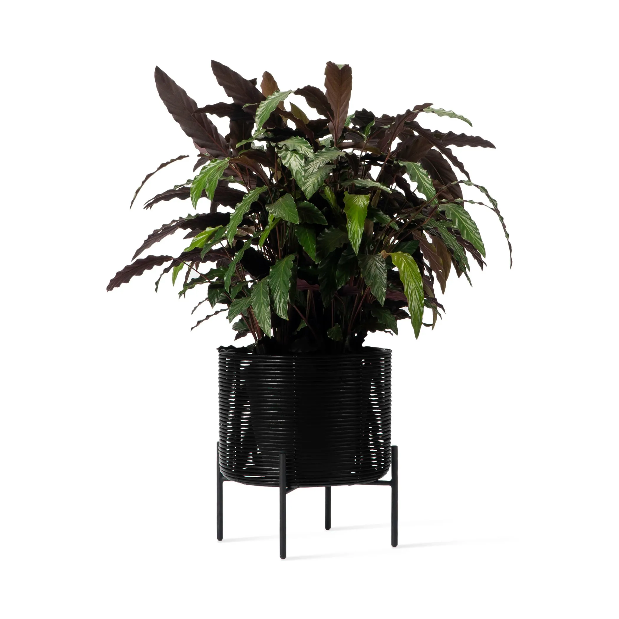 Ivo Outdoor Plant Stand