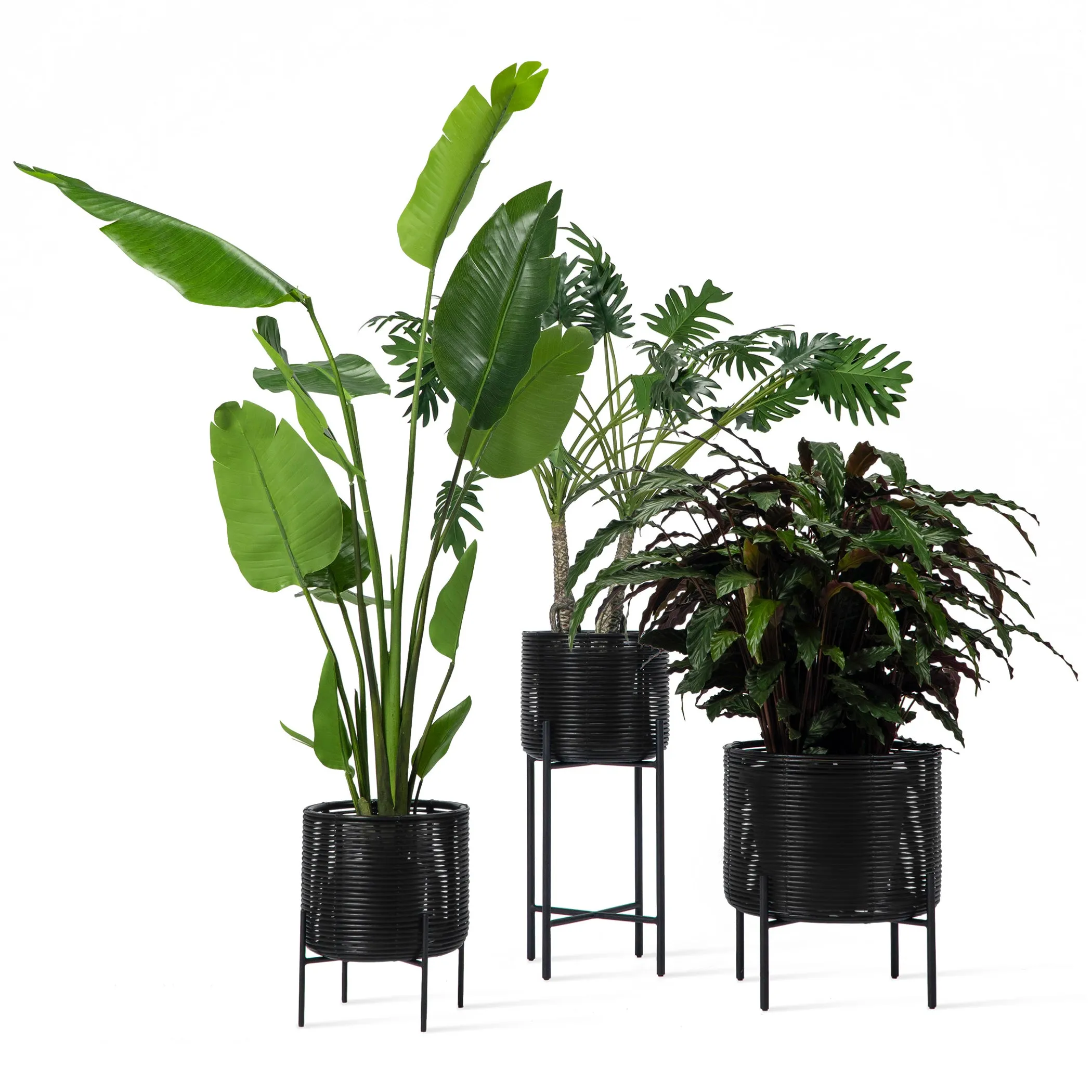 Ivo Outdoor Plant Stand