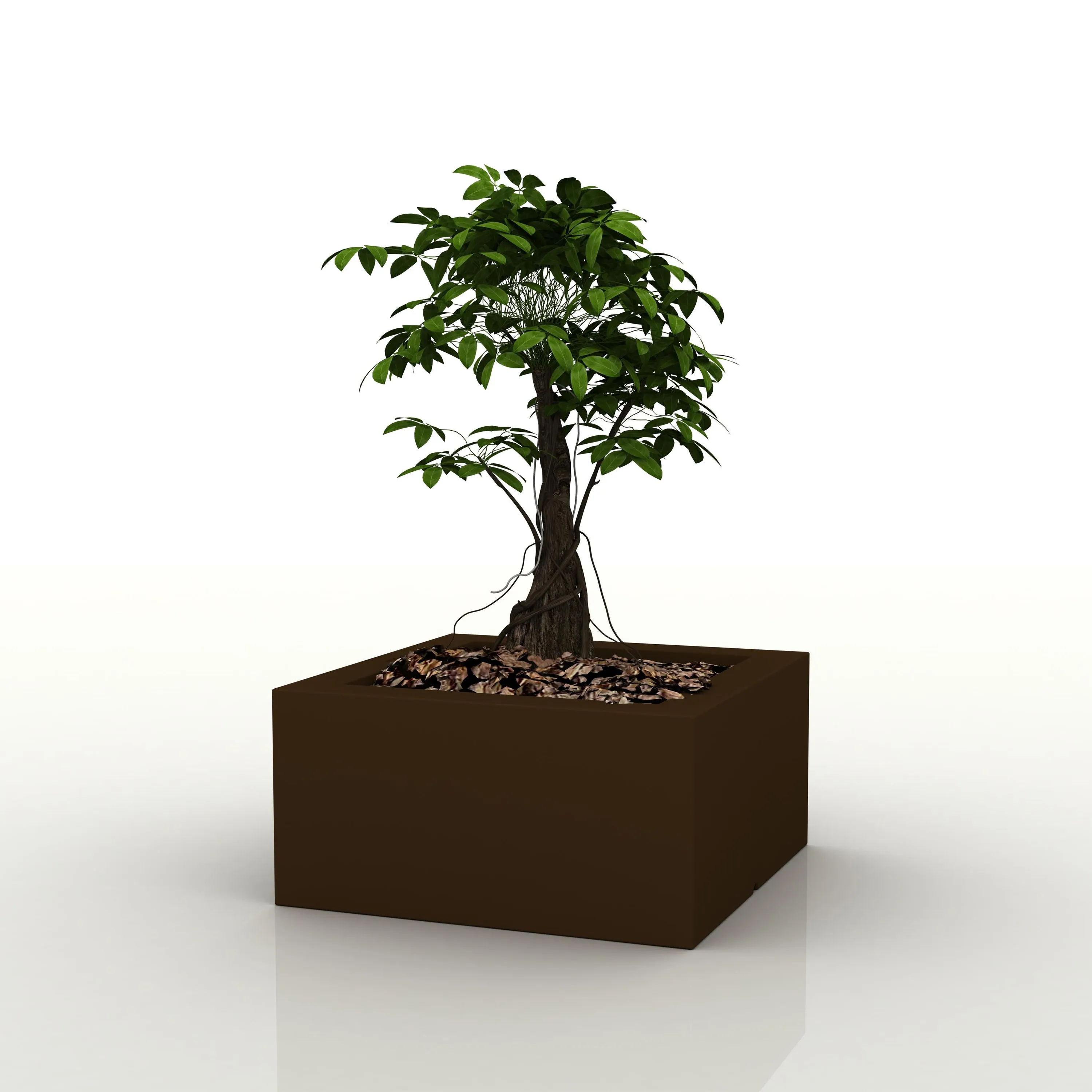 Land Planter