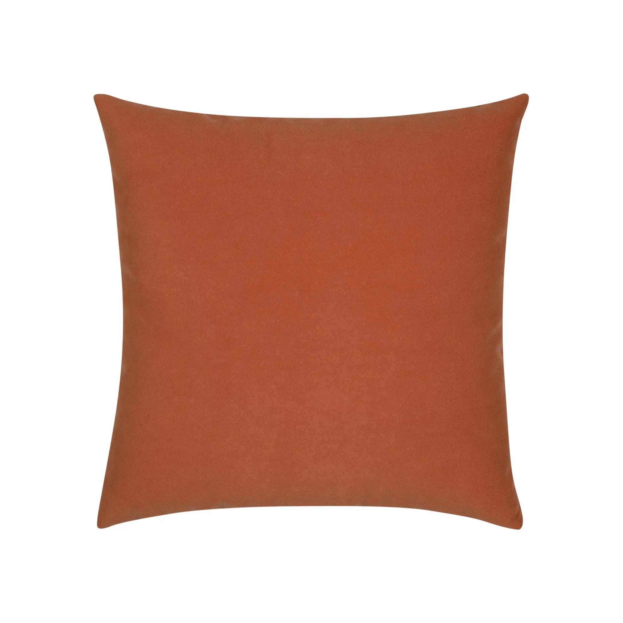 Lush Velvet Indoor/Outdoor Pillow