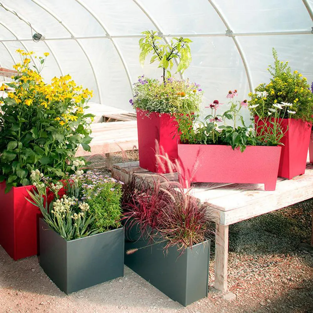 Mondo Skinny Planter