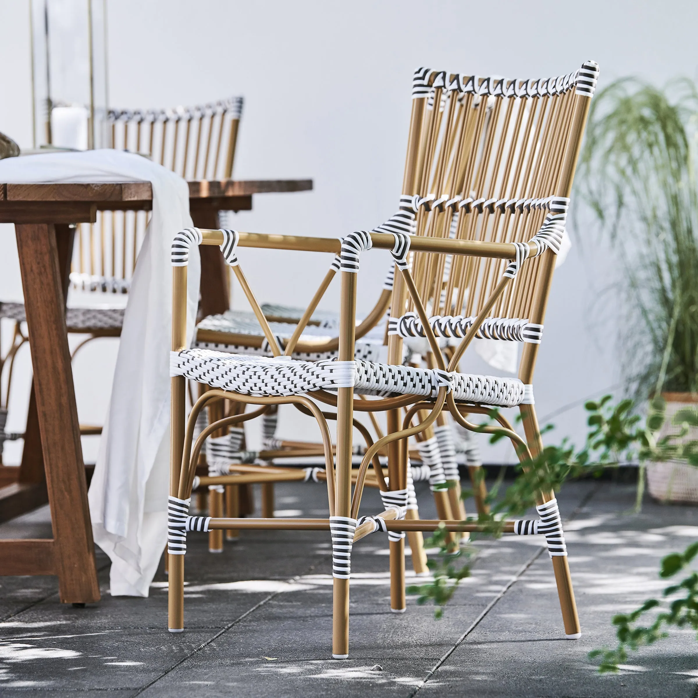 Monique Outdoor Arm Chair
