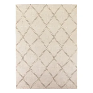 Palmeri Outdoor Rug