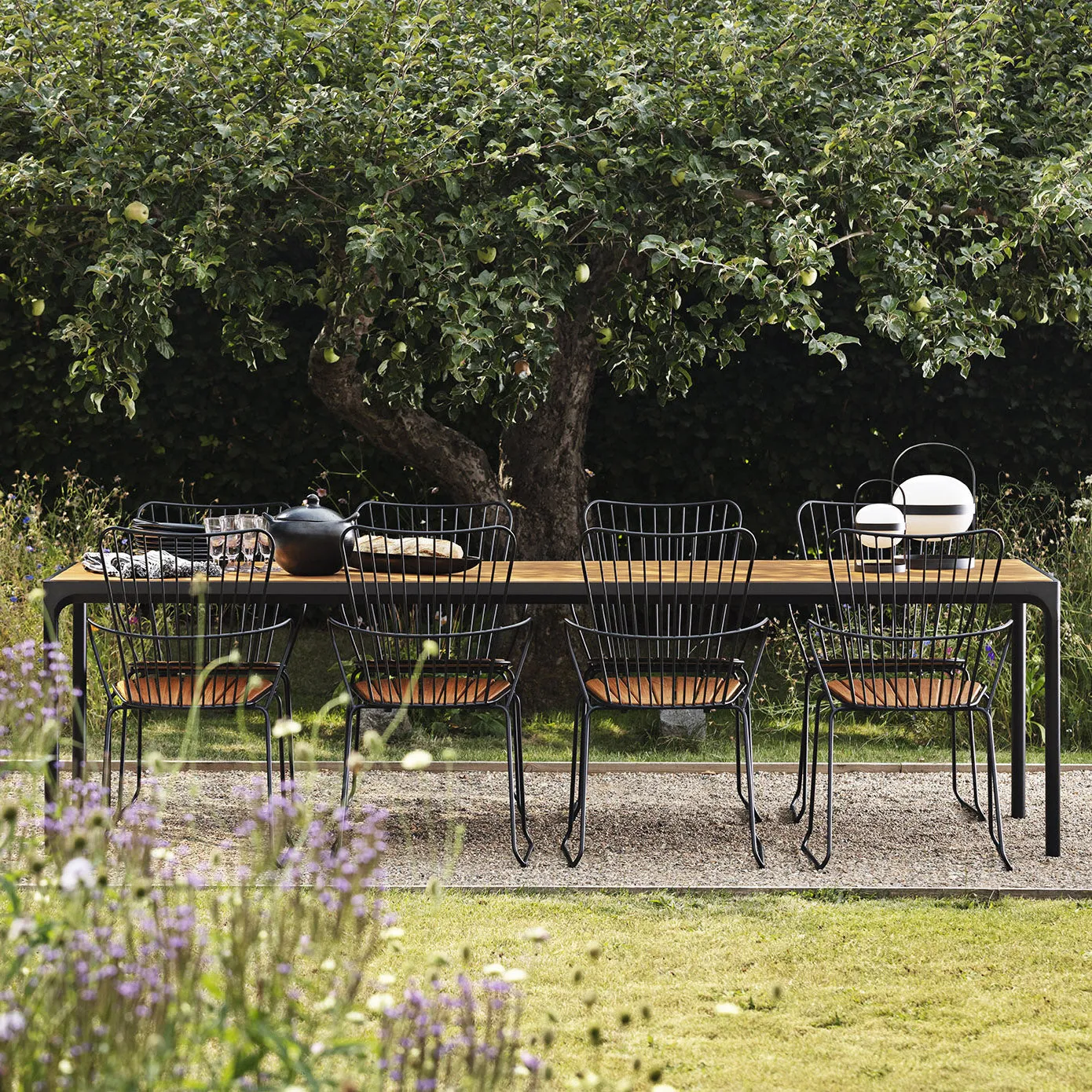 Paon Outdoor Dining Chair