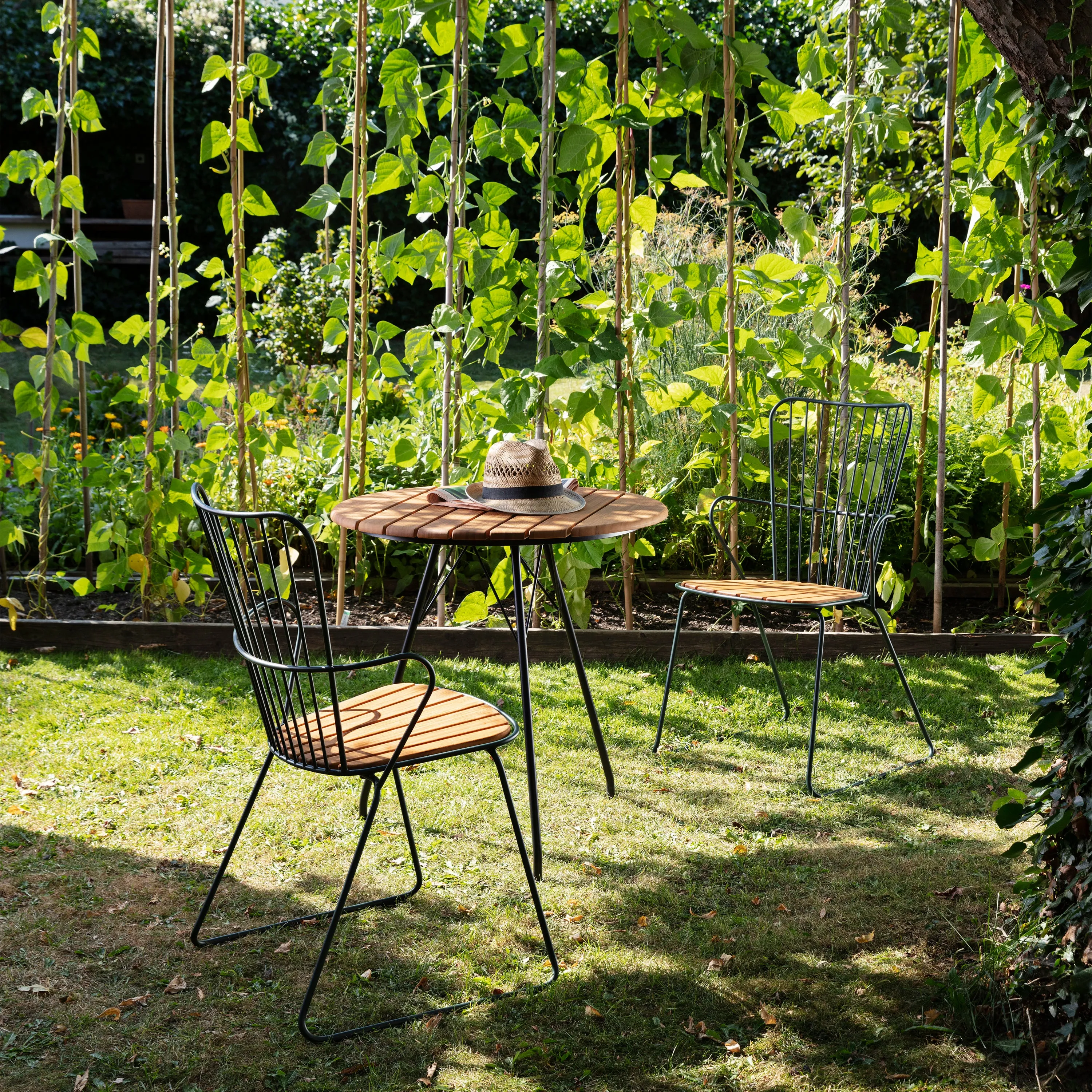 Paon Outdoor Dining Chair