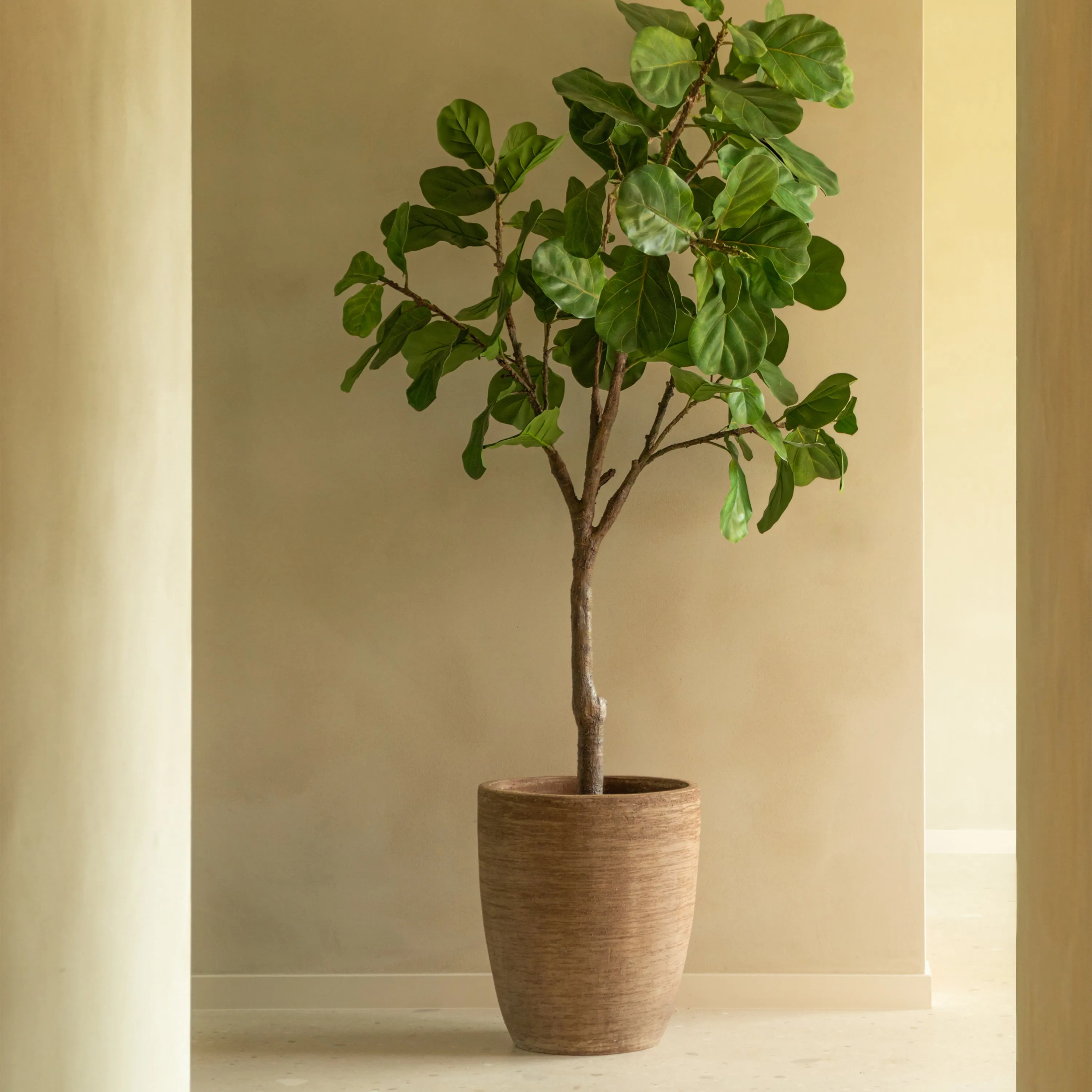 Saya Plant Pot (Set of 2)