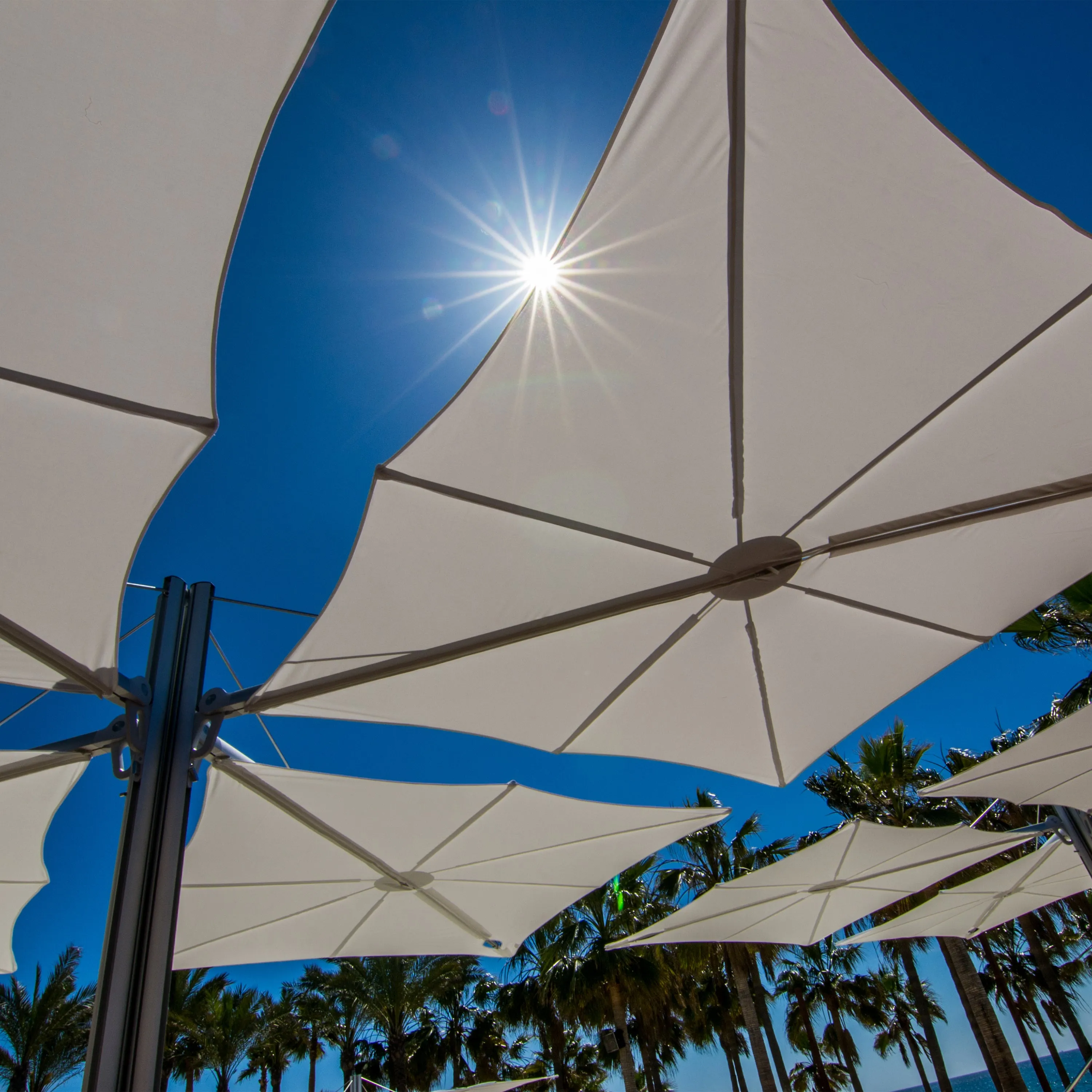 Spectra Multi Umbrella