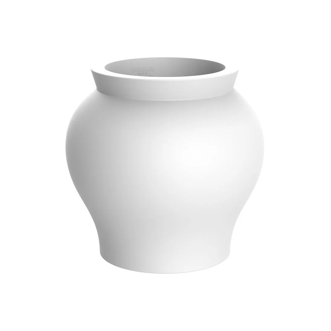 Venus Planter